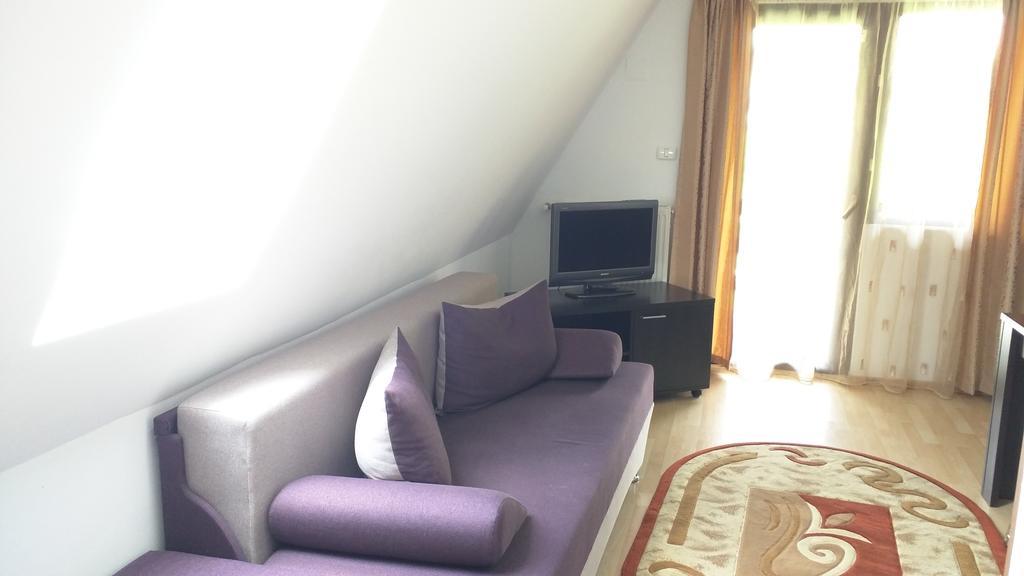 Hotel Silvia Apart Сіная Екстер'єр фото