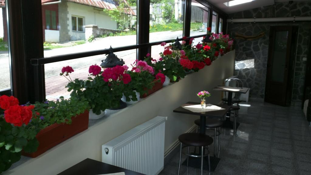 Hotel Silvia Apart Сіная Екстер'єр фото